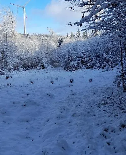 Sunrise 黑伦塔尔